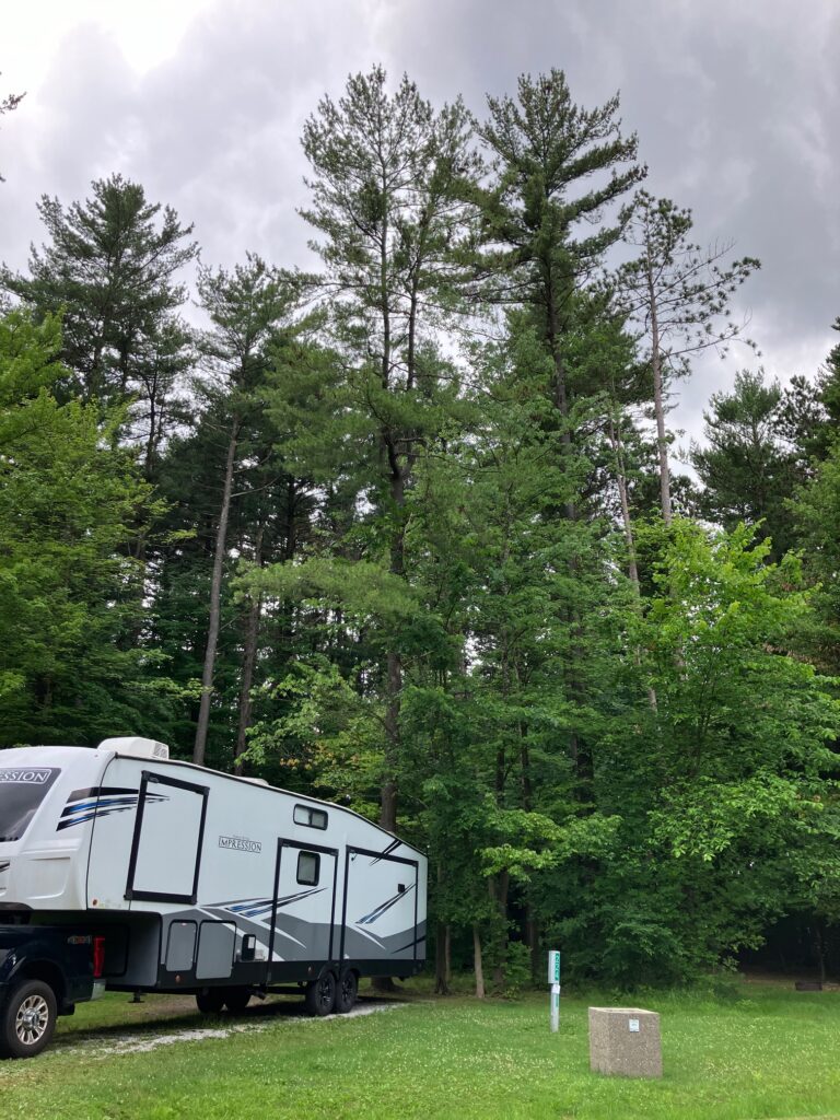 2024 June Findley SP Tree