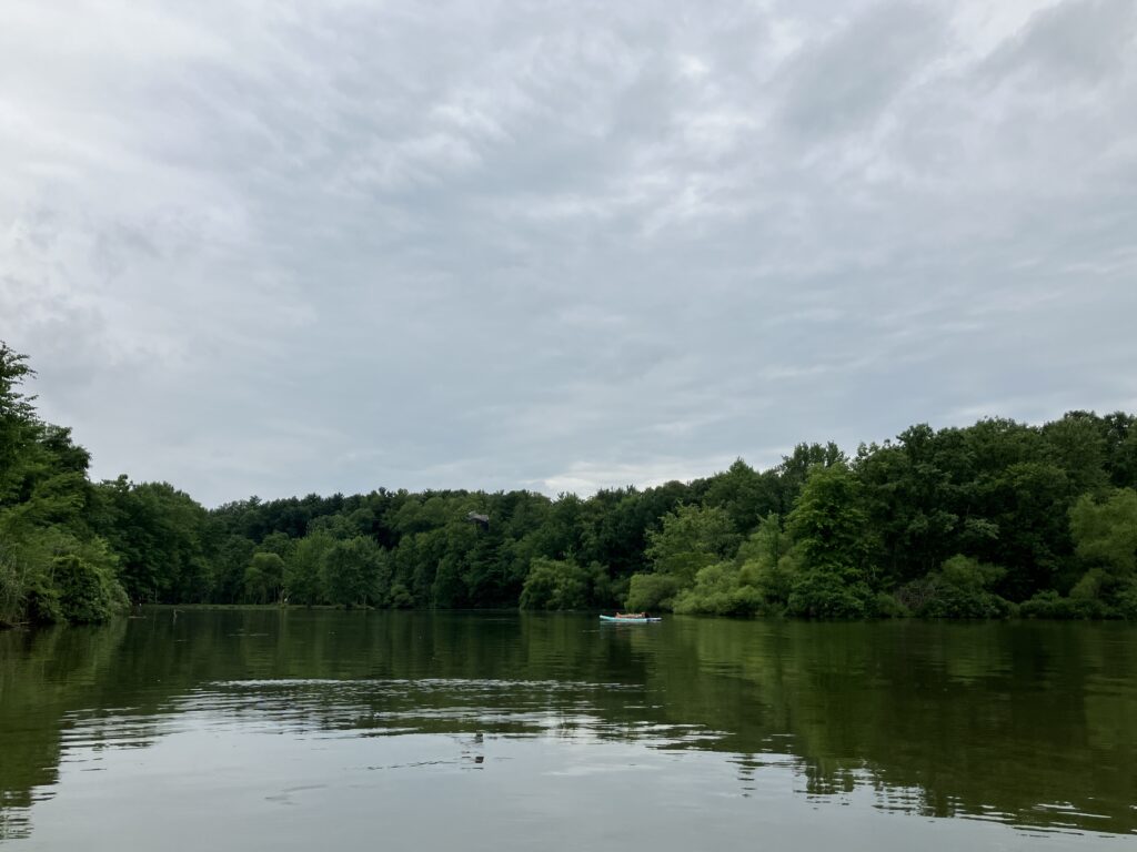 2024 July Finlay SP Kayaking blue heron