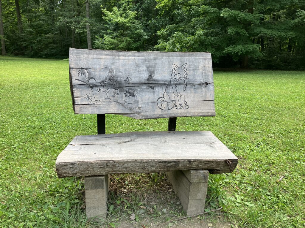 2024 July Mounds SP OH carved bench