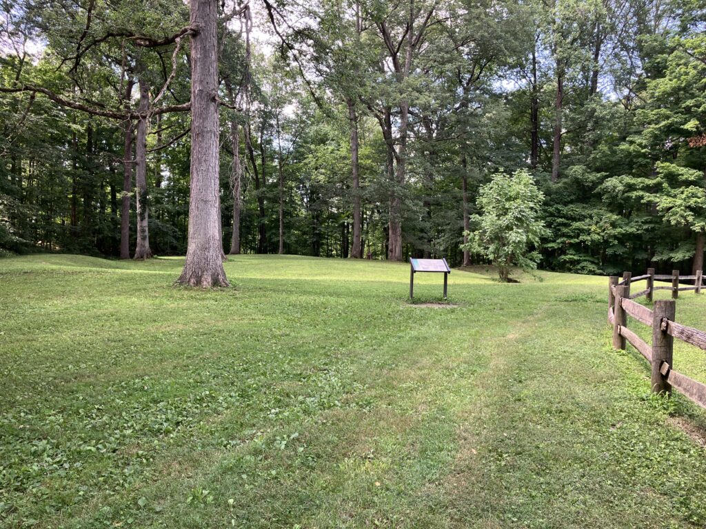2024 July Mounds SP OH Fiddleback Mound