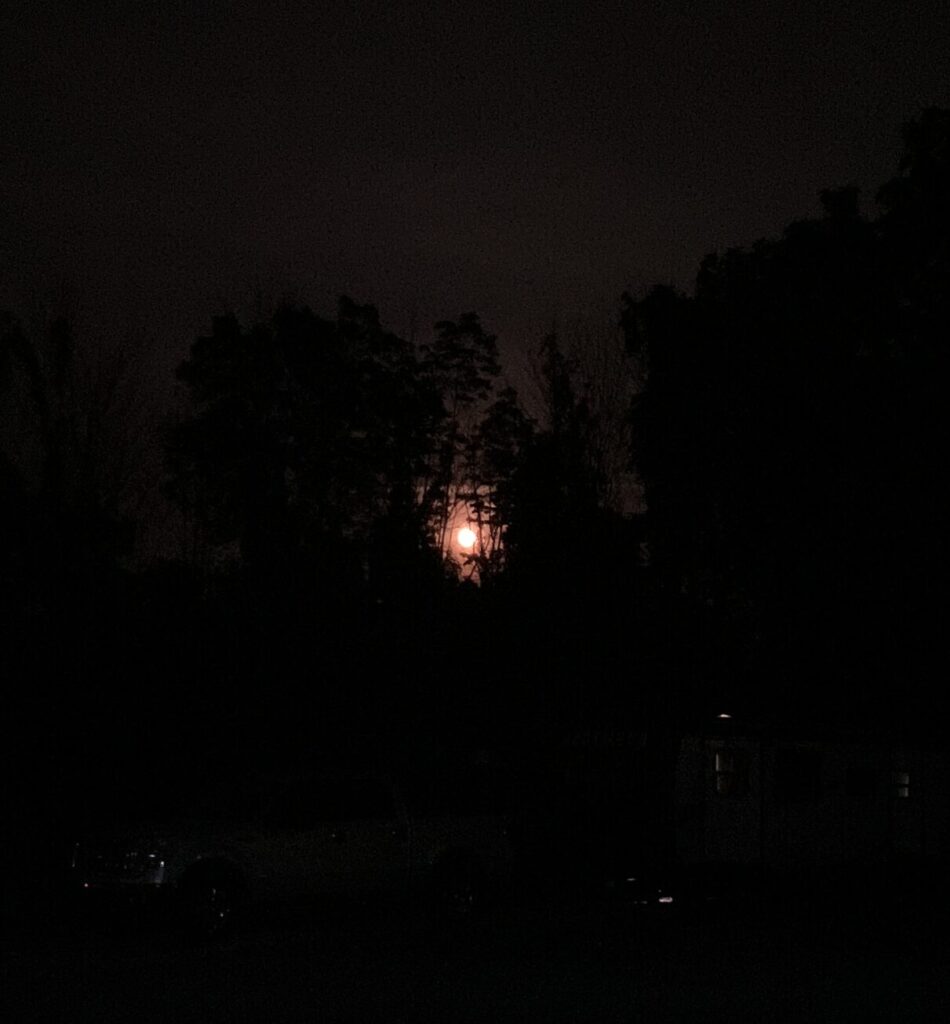 2024 July Buck Moon