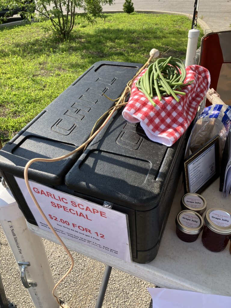 2024 July Danville Farmers Market